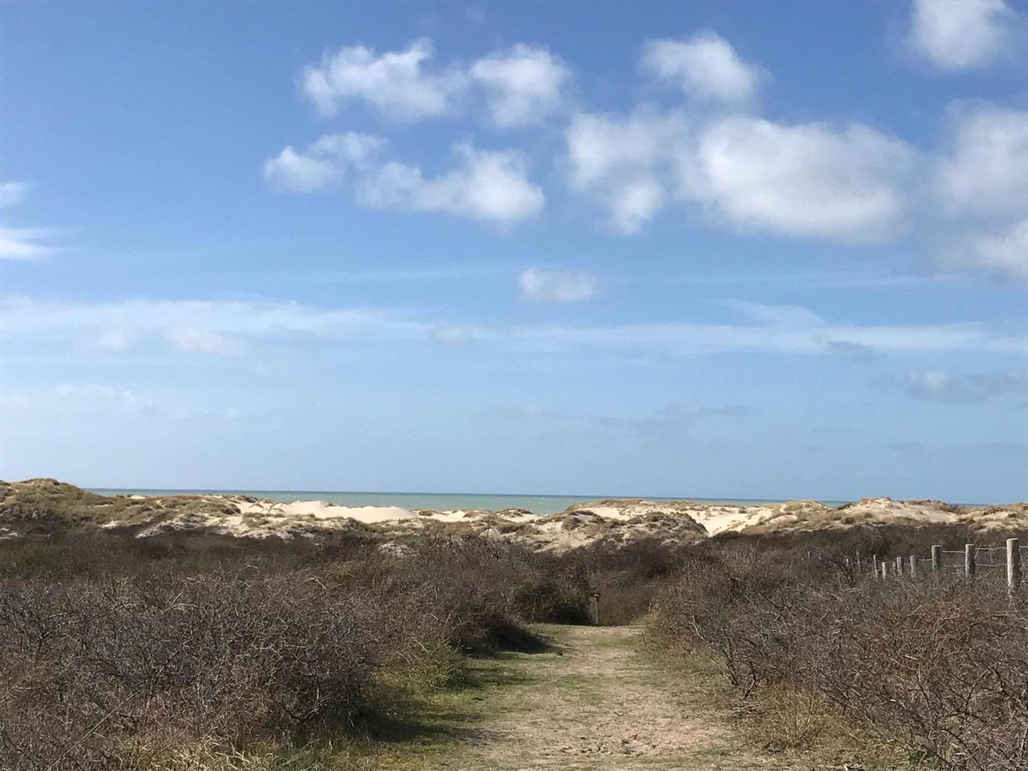 Petale De Rose, Dunes 3 *
